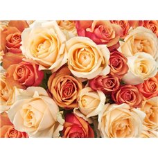 Картина на холсте по фото Модульные картины Печать портретов на холсте Бутоны роз - Фотообои цветы|розы