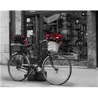 Велосипед на улице - Черно-белые фотообои