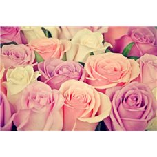 Картина на холсте по фото Модульные картины Печать портретов на холсте Оттенки розы - Фотообои цветы|розы