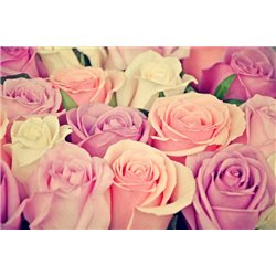 Оттенки розы - Фотообои цветы|розы - Модульная картины, Репродукции, Декоративные панно, Декор стен