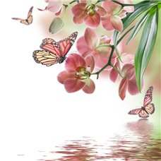 Картина на холсте по фото Модульные картины Печать портретов на холсте Бабочки вокруг орхидеи - Фотообои цветы|орхидеи
