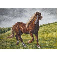 Картина на холсте по фото Модульные картины Печать портретов на холсте Бегущая лошадь - Фотообои Животные|лошади
