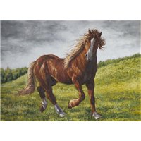 Портреты картины репродукции на заказ - Бегущая лошадь - Фотообои Животные|лошади