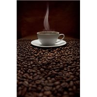 Портреты картины репродукции на заказ - Чашка на зернах кофе - Фотообои Еда и напитки|кофе
