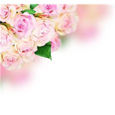 Картина на холсте по фото Модульные картины Печать портретов на холсте Букет роз на белом фоне - Фотообои цветы|розы