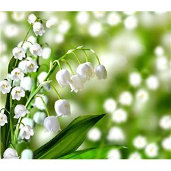 Весенний цветок - Фотообои цветы|ландыши - Модульная картины, Репродукции, Декоративные панно, Декор стен