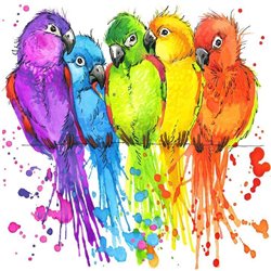 Попугаи - Фотообои Яркие краски - Модульная картины, Репродукции, Декоративные панно, Декор стен