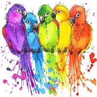 Попугаи - Фотообои Яркие краски