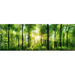Лес на рассвете - Фотообои природа|лес - Модульная картины, Репродукции, Декоративные панно, Декор стен