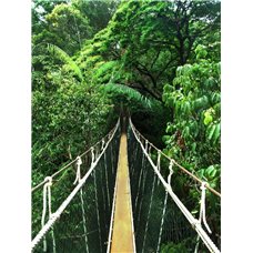Картина на холсте по фото Модульные картины Печать портретов на холсте Мост в джунглях - Фотообои на двери