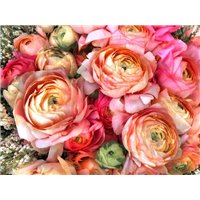 Разноцветный букет - Фотообои цветы|пионы