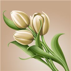 Картина на холсте по фото Модульные картины Печать портретов на холсте Зеленые тюльпаны - Фотообои цветы|тюльпаны