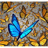 Много бабочек - 3D фотообои|Стереоскопические обои