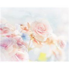 Картина на холсте по фото Модульные картины Печать портретов на холсте Нежные цветы - Фотообои цветы|розы