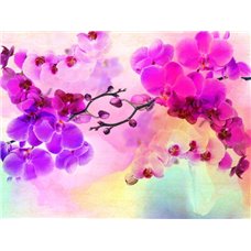 Картина на холсте по фото Модульные картины Печать портретов на холсте Розовые орхидеи - Фотообои цветы