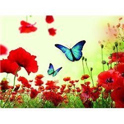 Бабочки над маками - Фотообои цветы - Модульная картины, Репродукции, Декоративные панно, Декор стен