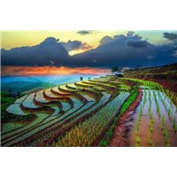 Рисовые поля - Фотообои терраса