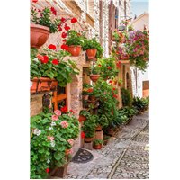 Дома с цветами - Фотообои Старый город|Средиземноморье