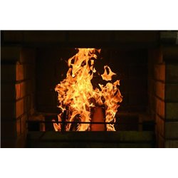 Пылающее пламя - Фотообои Интерьеры|камин - Модульная картины, Репродукции, Декоративные панно, Декор стен