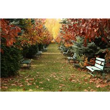 Картина на холсте по фото Модульные картины Печать портретов на холсте Осенний парк - Фотообои Японские и просто сады
