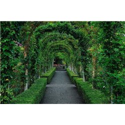 Цветущая арка - Фотообои Японские и просто сады - Модульная картины, Репродукции, Декоративные панно, Декор стен