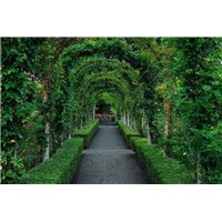 Цветущая арка - Фотообои Японские и просто сады