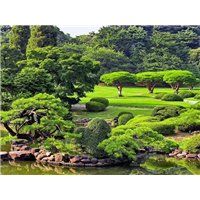 Портреты картины репродукции на заказ - Зеленый парк - Фотообои Японские и просто сады