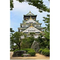 Портреты картины репродукции на заказ - Замок Осака - Фотообои Японские и просто сады
