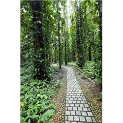 Тропинка в лесу - Фотообои Японские и просто сады - Модульная картины, Репродукции, Декоративные панно, Декор стен