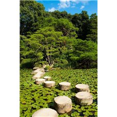 Картина на холсте по фото Модульные картины Печать портретов на холсте Кувшинки - Фотообои Японские и просто сады