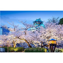 Ночной город - Фотообои Японские и просто сады - Модульная картины, Репродукции, Декоративные панно, Декор стен