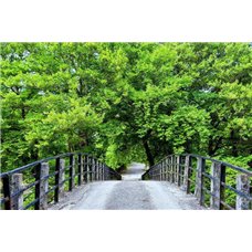 Картина на холсте по фото Модульные картины Печать портретов на холсте Мост в лес - Фотообои Японские и просто сады