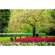 Картина на холсте по фото Модульные картины Печать портретов на холсте Розовые тюльпаны - Фотообои Японские и просто сады
