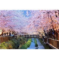 Картина на холсте по фото Модульные картины Печать портретов на холсте Сакура - Фотообои Японские и просто сады