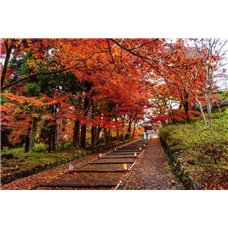 Картина на холсте по фото Модульные картины Печать портретов на холсте Осень - Фотообои Японские и просто сады
