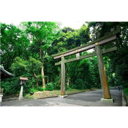 Заповедник - Фотообои Японские и просто сады - Модульная картины, Репродукции, Декоративные панно, Декор стен
