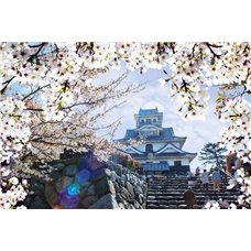 Картина на холсте по фото Модульные картины Печать портретов на холсте Замок Нагахама - Фотообои Японские и просто сады