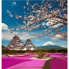 Картина на холсте по фото Модульные картины Печать портретов на холсте Розовые поля - Фотообои Японские и просто сады