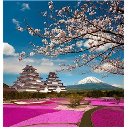 Розовые поля - Фотообои Японские и просто сады - Модульная картины, Репродукции, Декоративные панно, Декор стен