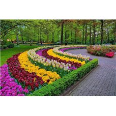 Картина на холсте по фото Модульные картины Печать портретов на холсте Тюльпаны - Фотообои Японские и просто сады