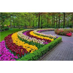Тюльпаны - Фотообои Японские и просто сады - Модульная картины, Репродукции, Декоративные панно, Декор стен