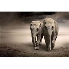 Картина на холсте по фото Модульные картины Печать портретов на холсте Слоны в саванне - Фотообои Животные|слоны