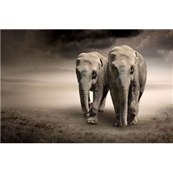 Слоны в саванне - Фотообои Животные|слоны - Модульная картины, Репродукции, Декоративные панно, Декор стен