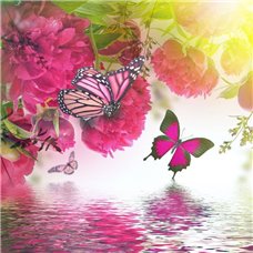 Картина на холсте по фото Модульные картины Печать портретов на холсте Бабочки на пионах - Фотообои природа|бабочки