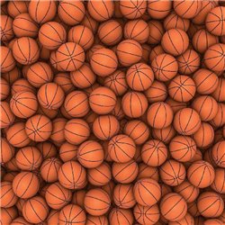 Баскетбольные мячи - Фотообои спорт - Модульная картины, Репродукции, Декоративные панно, Декор стен