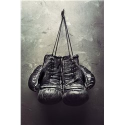 Боксёрские перчатки - Фотообои спорт - Модульная картины, Репродукции, Декоративные панно, Декор стен