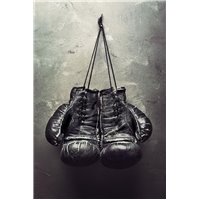 Портреты картины репродукции на заказ - Боксёрские перчатки - Фотообои спорт