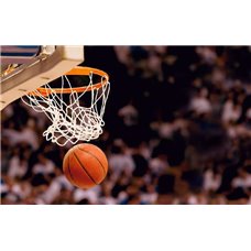 Картина на холсте по фото Модульные картины Печать портретов на холсте Баскетбол - Фотообои спорт