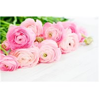 Портреты картины репродукции на заказ - Букет розовых роз - Фотообои цветы