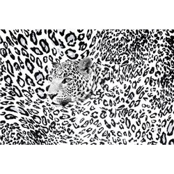 Леопард - Фотообои Животные - Модульная картины, Репродукции, Декоративные панно, Декор стен